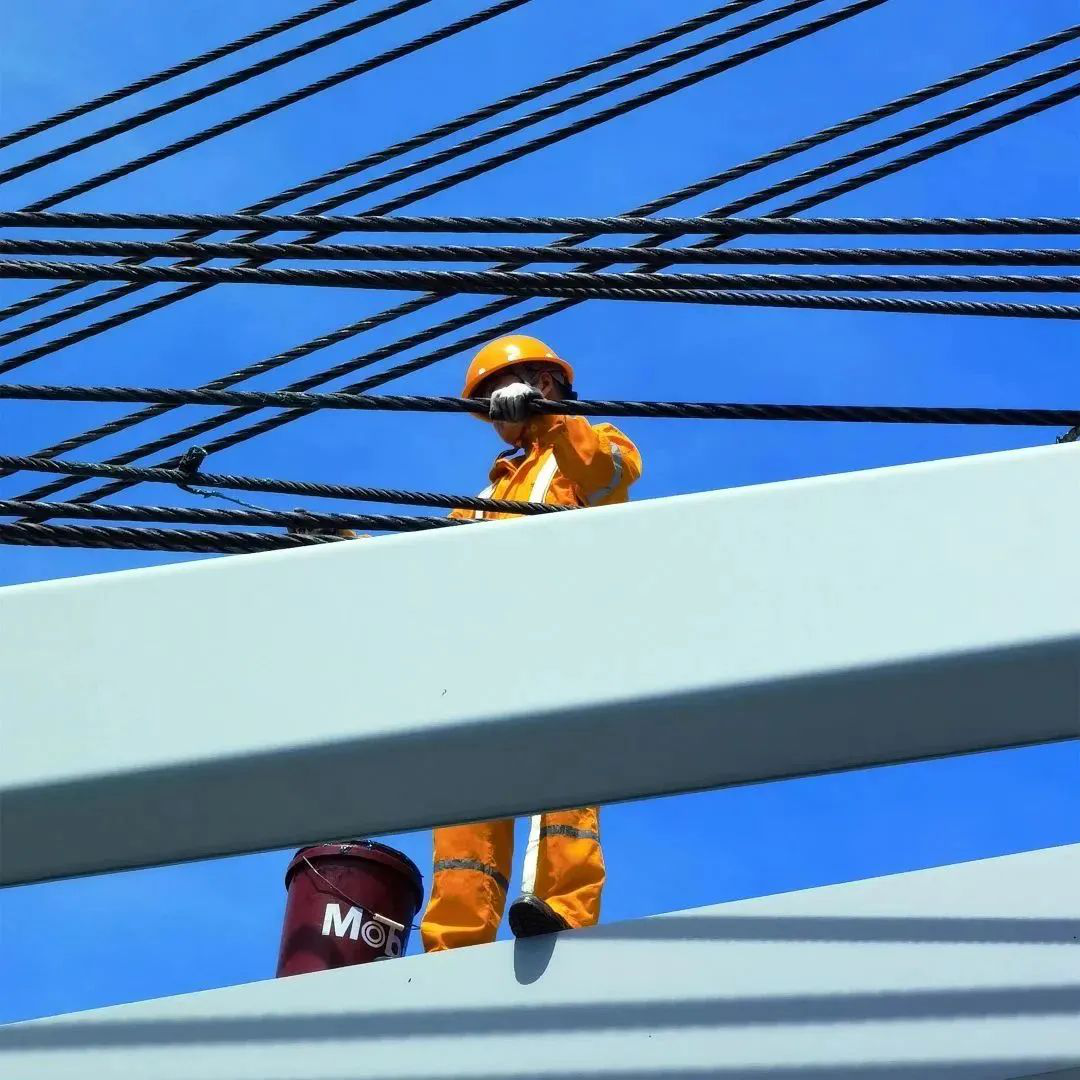 1683186785136404.png 1683186785136404.png